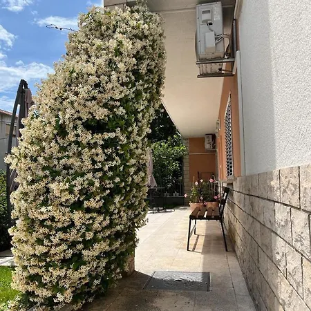 Cezar Apartment *