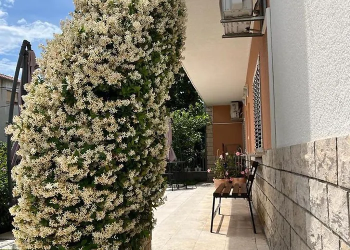 Cezar Apartament *